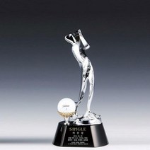 홀인원기념패 트로피주문제작 홀인원트로피, 기본 : 상세페이지 참조