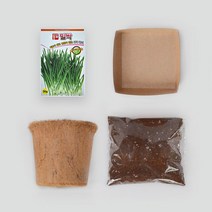 무럭무럭 코코넛화분+밀싹 씨앗키우기 키트, 1개