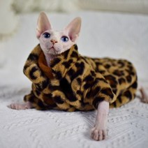 duomasumi sphynx 고양이 더블 패딩 레오파드 따뜻한 재킷 털이없는 고양이 옷 콘월어 데본 렉스 peterbald knnis abbey cat, 코트, l