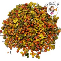 국내산 자연산 2023년 햇제품 노박열매300g 노박덩굴600g 직접채취 깨끗한 제품(선택사항)