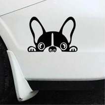 빼꼼 페리토린다 차량하단 긁힘가림 스티커, 1개, 블랙