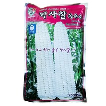 박사찰 옥수수씨앗 2500립 약75~100평 GMO아님 F1 찰옥수수 씨앗