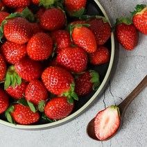 설향딸기 금실딸기 겨울 생딸기 선물포장 700g, 생딸기_설향, (한정이벤트/선물포장)700g_30과