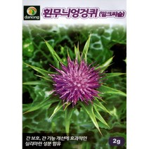 (씨앗) 흰무늬엉겅퀴 - 밀크티슬 - 밀크씨슬 - 우유엉겅퀴 - 씨앗 종자 - 2g