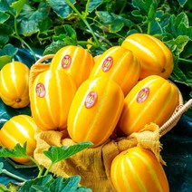 당도선별 최상급 성주 참외 3kg 5kg농장직송 당도보장, 정품 참외 3kg(로얄과)당도보장