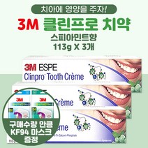 3M 클린프로 치약 스피아민트 3통 + 3M 마스크 3개, 113g, 1개
