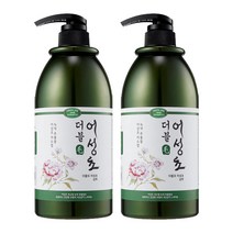 더블모 어성초 샴푸 1000gX2개, 단품