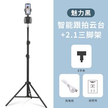 팔로우캠 360도 회전 전자동 스마트폰 안면인식 디더링 동영상 촬영 및 카메라 촬영기, 옵션3