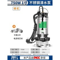 수중펌프 지하집수정 물빼기 배수펌프 농업용양수기 펌프, 750W1인치5m케이블-베어