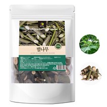 국산 100% 영천 벌나무 500g 산청목 산겨릅나무 건재, 1개