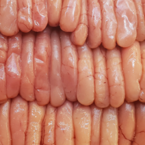 바른젓갈 무색소 저염 명란젓 500g 1kg 가락시장반찬가게 가락몰젓갈, 1봉
