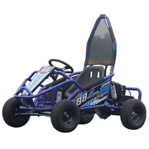 4륜 버기카 네발오토바이 바이크 사발이 200cc, 전기 렌탈 버전(오디오 타이머 조명 포함)