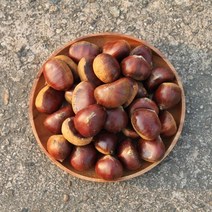 공주 햇밤 정안 알밤 칼집밤 옥광밤 대보밤 생률 생율 조생 에어프라이어, [칼집x] 옥광밤 2kg 중