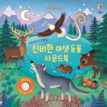 웅진북센 신비한 야생동물 사운드북 우리아기오감발달, One color | One Size