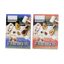 곤충화석 발굴키트 (1p) 장난감 완구, 단품