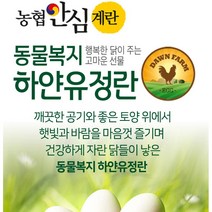 농협안심계란 동물복지 하얀유정란 20개입 40개입, 2080g이상