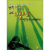 빚에서 빛으로 방향을 바꿔라 : 개인파산·면책·회생 사례보며 따라하기, C.Song, 정기채,정강현 공저
