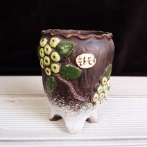 서평택다육화분 3종세트화분 1999, 혼합색상3
