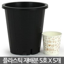 원형 플라스틱 재배분 6호(5개) - 화분 플분 녹차 양란 난화분 란화분 난재배분 양란화분 난재배 녹차재배분 긴화분, 02_청운_재배분(5호) X 5개