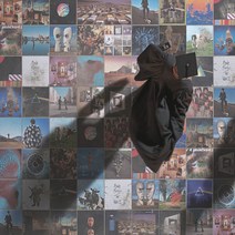 (수입CD) Pink Floyd - A Foot In The Door (The Best Of Pink Floyd) (Remastered) (Gatefold), 단품