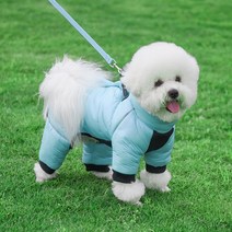 강아지패딩올인원 발열 기모 히트텍 슬개골 하네스일체형 입히기쉬운 롱 이지웨어 삼삼, 스카이블루