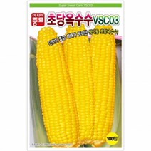 (옥수수씨앗종자) 초당 옥수수(VSC-03)(100립)