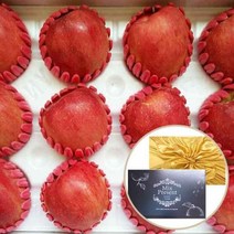 [장보리] 고급 청송사과 선물세트 5kg (11-13과), 상세 설명 참조