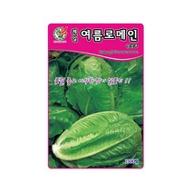 상추씨앗 제일여름로메인양상추 1500립 건강채소, 1개