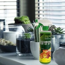 뿌리는 화초 액체비료 식물영양제 인산 스프레이 4종복합비료