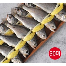 홈쇼핑 굴비다움 국내산 법성포 영광굴비 30미 60미 택1 엮걸이굴비 생선 반찬 집반찬 생선구이 굴비 법성포영광굴비 굴비다움굴비