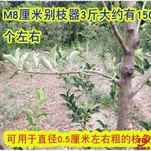 과수지지대 과수 받침대 강선활대 숲 원 과일 나무 묘목 모양 브래킷 i 정원 분기 프레스 분기 풀러 두꺼운 분기 s 버클이 구부러진 분기 클립을 구부리는 데 도움이됩니다., ikdk-m형 8cm 3 약 150개입 d2220