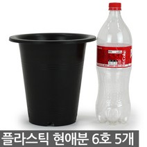 플라스틱 현애분 10호 블랙 3개 - 화분 베란다화분 꽃화분 대형화분 플라스틱화분 검정화분 블랙 화이트 흰색 파란화분, 01_한성_현애분 블랙(6호) X 5개