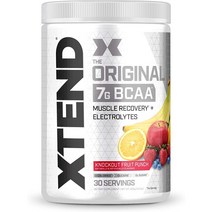 유통기한 임박 2023년 6월 싸이베이션 Scivation 엑스텐드 프룻펀치 Xtend BCAA 30serving fruit puch 30serv, 프룻펀치 30 서빙