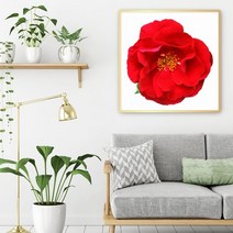 셀러허브 정열 모란 No1 생동감 넘치는 모란 꽃 액자 3호, 직사각형(27x19cm)／캔버스액자(옆면연장)