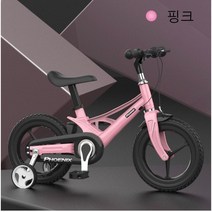 디와이(DY) Phoenix 피닉스 아동 어린이 자전거 12 14 16인치 레드 무지개 블랙 핑크, 핑크+14인치