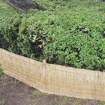 [조이가든] 볏짚바람막이 - 90cm x 20M (특) 짚방풍막 볏짚방풍막