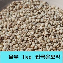 잡곡은보약 율무 국산 2022년산 율무쌀 국내산 햇율무 2kg 1kg선택, 2포, 1kg