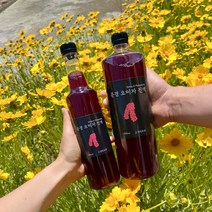 문경오미자진액, 500ml