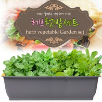 세경팜 허브텃밭세트(바질 루꼴라), 그레이화분(바질,루꼴라)