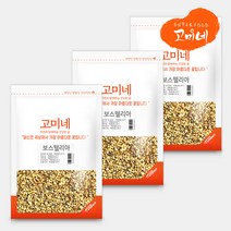 고미네 보스웰리아 원물 (덩어리), 300g, 3팩