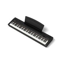 다이나톤 포터블 디지털피아노 DTP-1, 색상:블랙