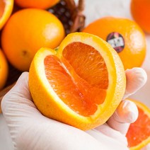 고당도 카라카라 오렌지 중대과 10과 20과