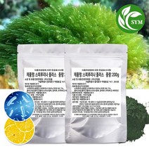 신영몰 스피루리나 플러스 분말 가루 200g 미국산 스피룰리나 99%, 2팩