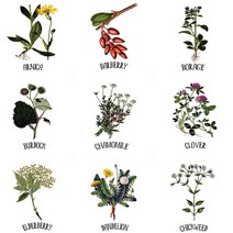 자투리 DTP컷트지 생활방수야생화 택1, DTP컷트지 생활방수야생화2184 이니카