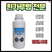 농사친구 흰가루싹 1리터 흰가루병 전문약 딸기 오이 호박 장미, 1리터(25말용)