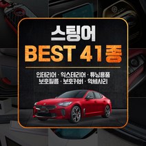 [골져스] 스팅어 튜닝 악세사리 DIY 몰딩용품 모음 41종, 35번.송풍구 컬러 틈새몰딩-퍼플