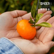 고당도 귤 제주 감귤 하우스귤 노지귤 조생귤, 선택2. 하우스 감귤(특상품) 혼합 10kg, 1개