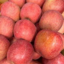 [달콤한과일] 꿀 사과 햇부사 가정용 흠집사과 10kg, 가정용 사과 10kg