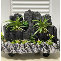 희망참숯농원 숯화분 금강산