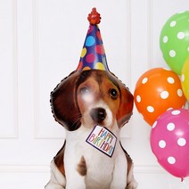 제이벌룬 강아지생일파티 은박풍선, 생일퍼피 41인치
